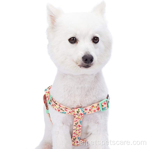 Blumen inspirierter Sublimation Hundekabelbaum